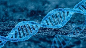 BioTechniques Explores the Ethics Surrounding CRISPR Gene Editing