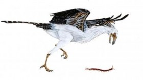 Jeholornis, an early bird from the early Cretaceous period