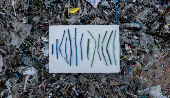 The Plastics In Our Seas: What We Throw Away