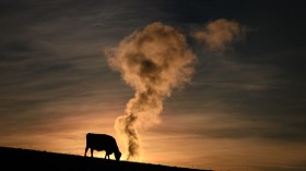 TOPSHOT-SWITZERLAND-FARMING-WASTE-ENVIRONMENT