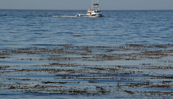 US-ENVIRONMENT-PACIFIC OCEAN