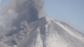 Pavlov Volcano, 2014