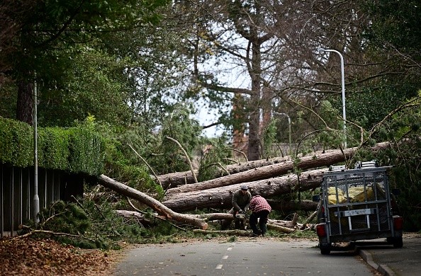 Impact of storm