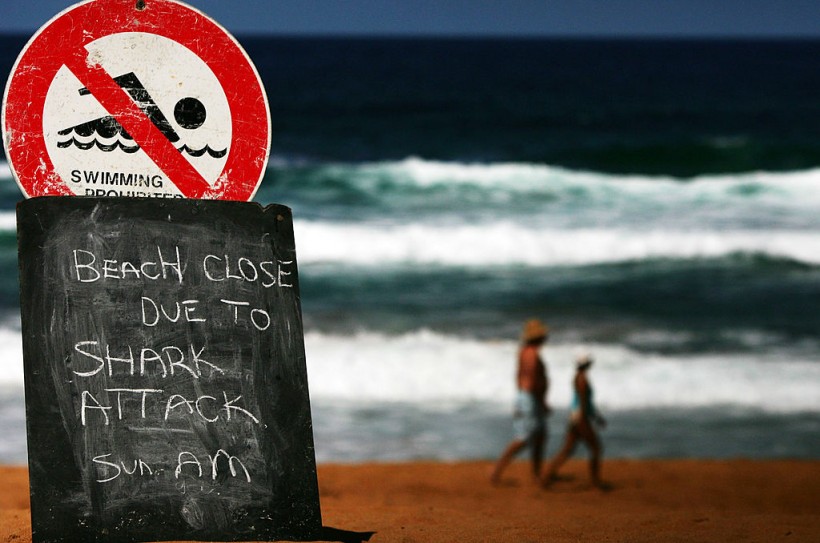 Sydney Beach Closed After Shark Attack
