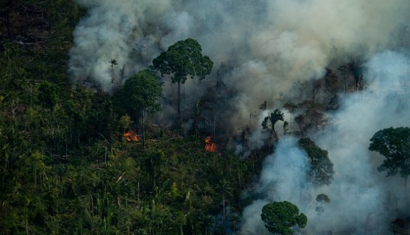 Wildfire in Brazil