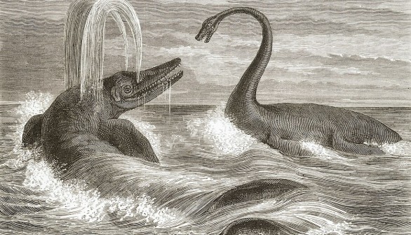 Chthyosaur and Plesiosaur