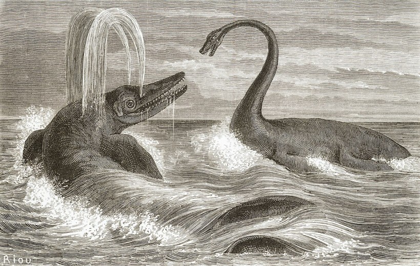 Chthyosaur and Plesiosaur
