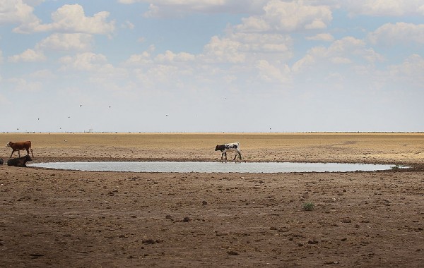 Record heatwave exacerbates devastating drought in central US