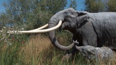 extinct European forest elephant