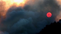 The sun dimmed by dense fog during a mountain forest fire 