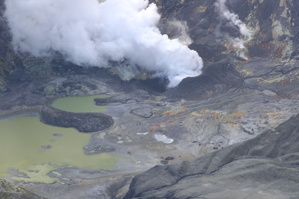 White Island Disaster Story Behind the Horrifying Volcanic Eruption
