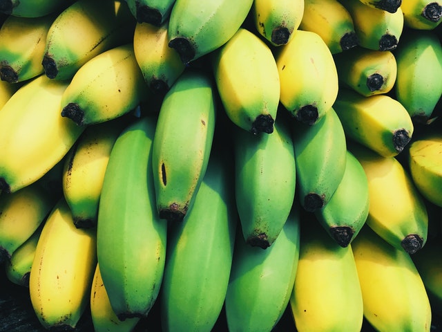 Ethiopian False Banana: Could This be the Long-awaited Supercrop For Climate Change?