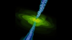 magnetic fields of a black hole