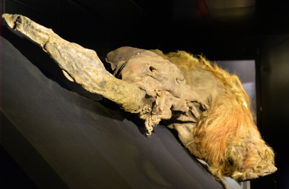 Schoolgirl finds the world's oldest lemming preserved in permafrost and  dating back 41,000 years