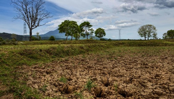 Drought paddy fields