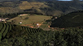 Brazil Is World's Leading Coffee Producer