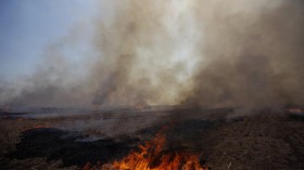 Burning of crop waste contribute to emissions.
