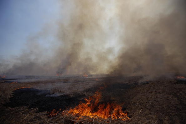 Burning of crop waste contribute to emissions.