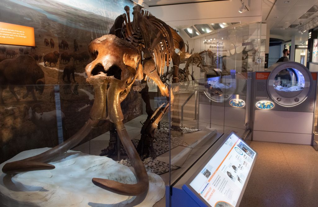 Scientists To Bring Extinct Woolly Mammoths Back To Life By Creating ...