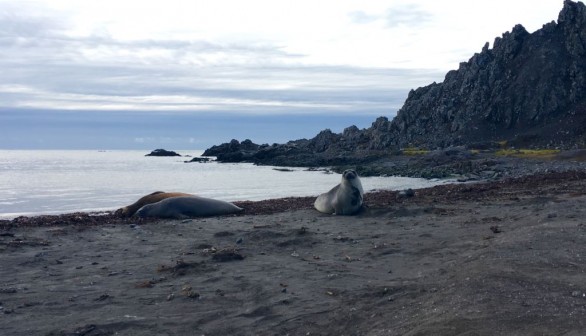 ANTARCTICA-CLIMATE-CHANGE