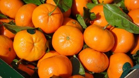 oranges