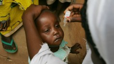 Teams Give Polio Vaccine in Massive Nigerian Innoculation