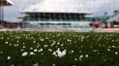 A-League Women's - Wellington Phoenix v Adelaide United