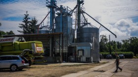 Poland Steps Up Industrial Hemp Production