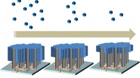 hygroscopic scaffold