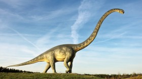 diplodocus