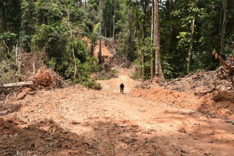 A deforestation area in Brazil.