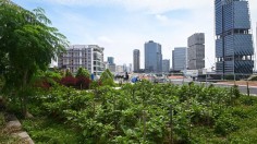 SINGAPORE-ENVIRONMENT-AGRICULTURE