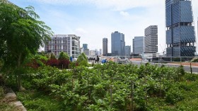SINGAPORE-ENVIRONMENT-AGRICULTURE