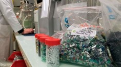 FRANCE-CHEMISTRY-PLASTIC-INNOVATION-RECYCLING-CARBIOS