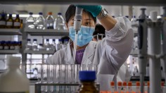 China's Sinovac Ramps Up Production Of Potential COVID-19 Vaccine