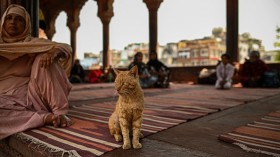 INDIA-RELIGION-ISLAM-RAMADAN