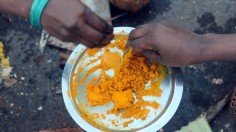 INDIA-RELIGION-FESTIVAL-PONGAL