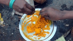 INDIA-RELIGION-FESTIVAL-PONGAL