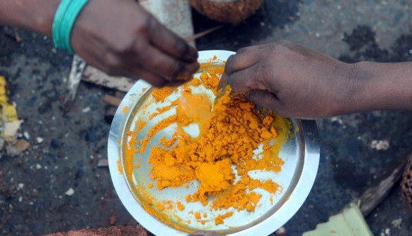 INDIA-RELIGION-FESTIVAL-PONGAL