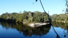 Suwannee and Withlacoochee Rivers