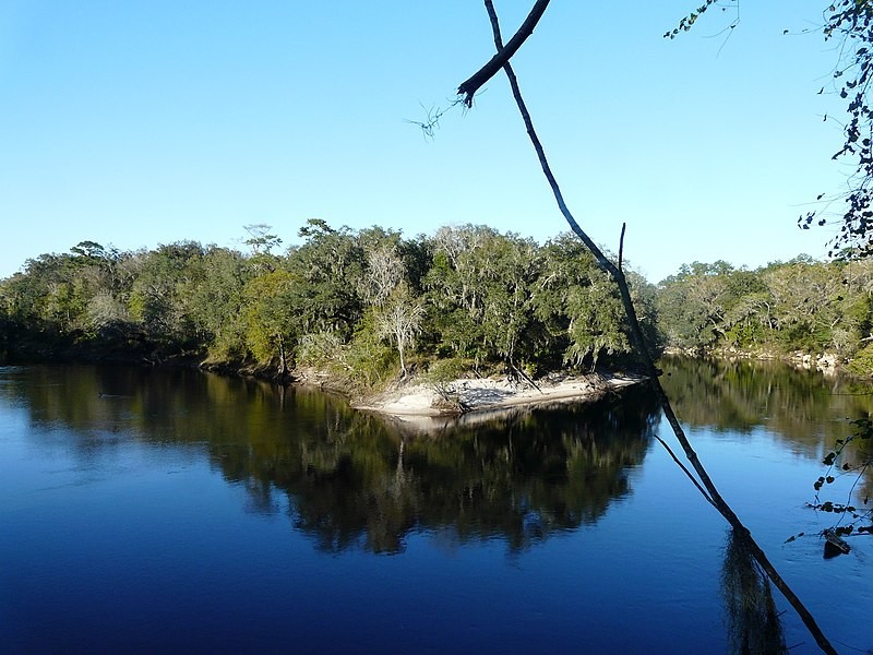 Suwannee and Withlacoochee Rivers