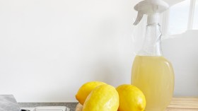 Reasons To Switch to Natural Cleaning Agents