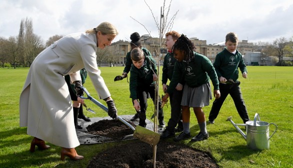 The Countess Of Wessex Plants Jubilee Tree At Buckingham Palace
