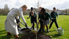The Countess Of Wessex Plants Jubilee Tree At Buckingham Palace