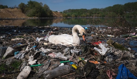 SERBIA-ENVIRONMENT-POLLUTION-WASTE-ANIMAL