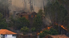 Dozens Dead In Forest Fire In Portugal