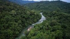 Vaccination Efforts Reach Remote Malaysian Villages