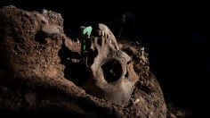 Uncovering Bodies At Belchite Mass Grave From Spanish Civil War
