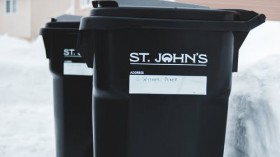 Reasons to Use Reusable Plastic Bins Instead of Cardboard Boxes for Moving