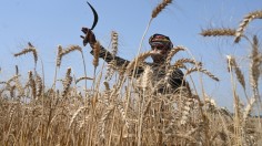 Pakistan heat and drought